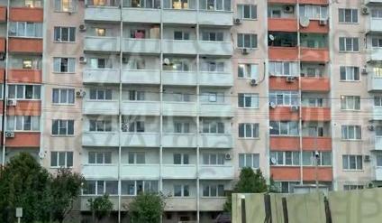 Полиция Армавира проверяет сообщения об отстреле домашних питомцев из окна дома