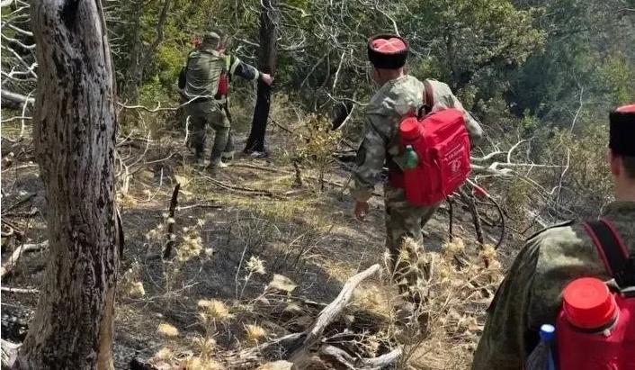 Пожары от БПЛА в заповеднике «Утриш» нанесли ущерб на 118 млн рублей
