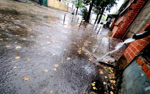 Ливни при сильном ветре и до +23 °C ожидаются 24 сентября на Кубани