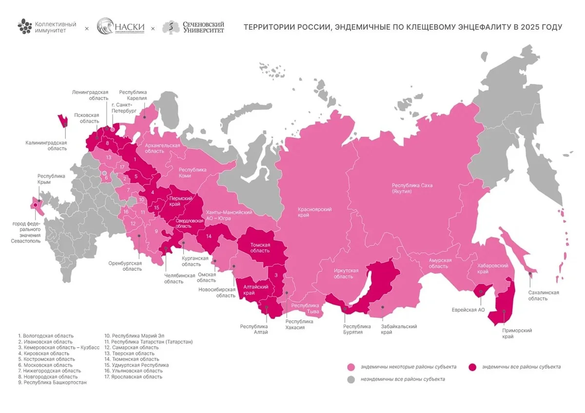 С начала года на Кубани 30 человек заразились боррелиозом после укусов клещей
