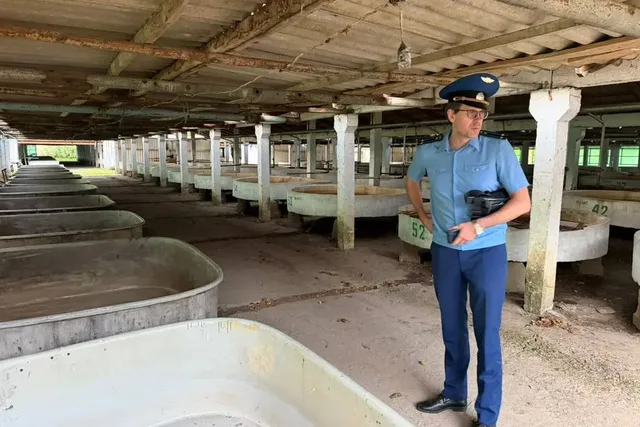 Осетры могут получить травмы: нарушения нашли на рыбзаводе в Калининском районе