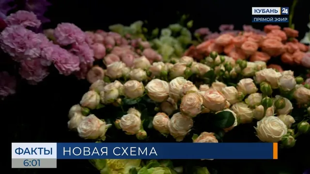 Новую схему обмана придумали мошенники перед Днем учителя