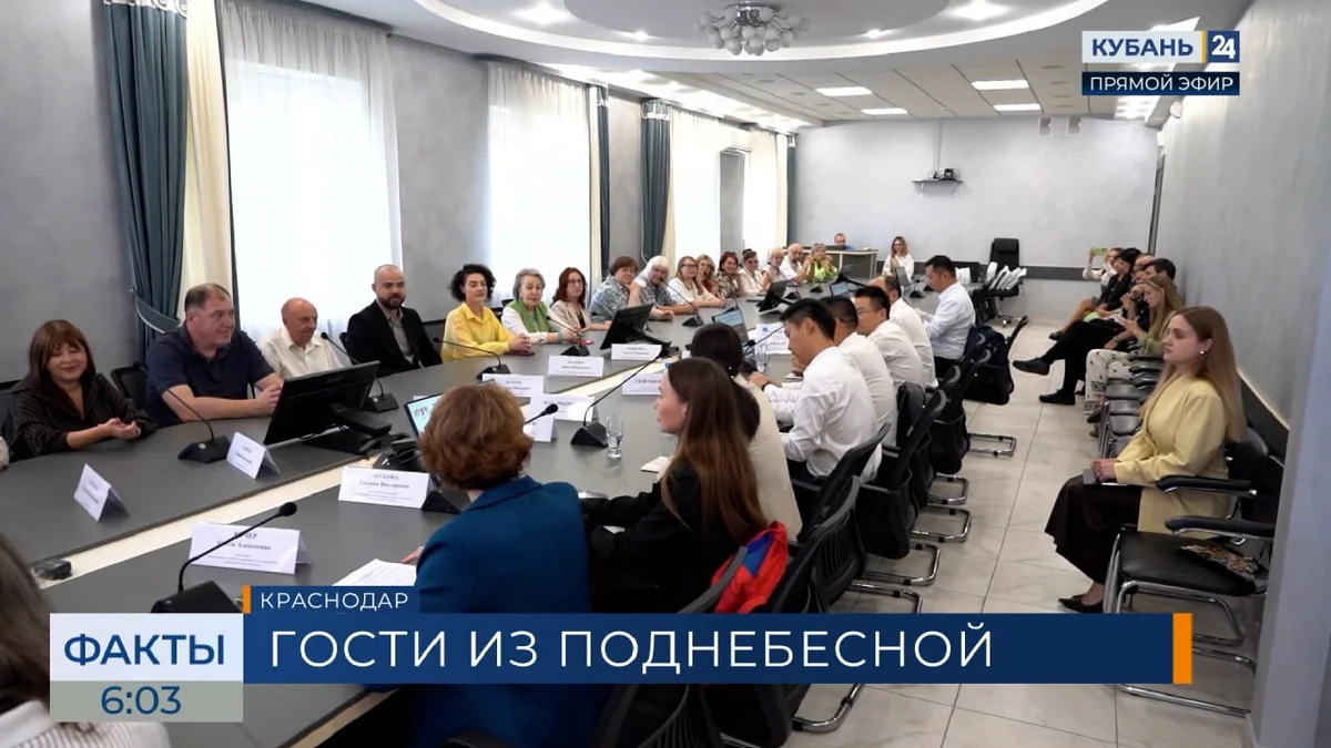 Краснодарский институт культуры принял гостей из Китая