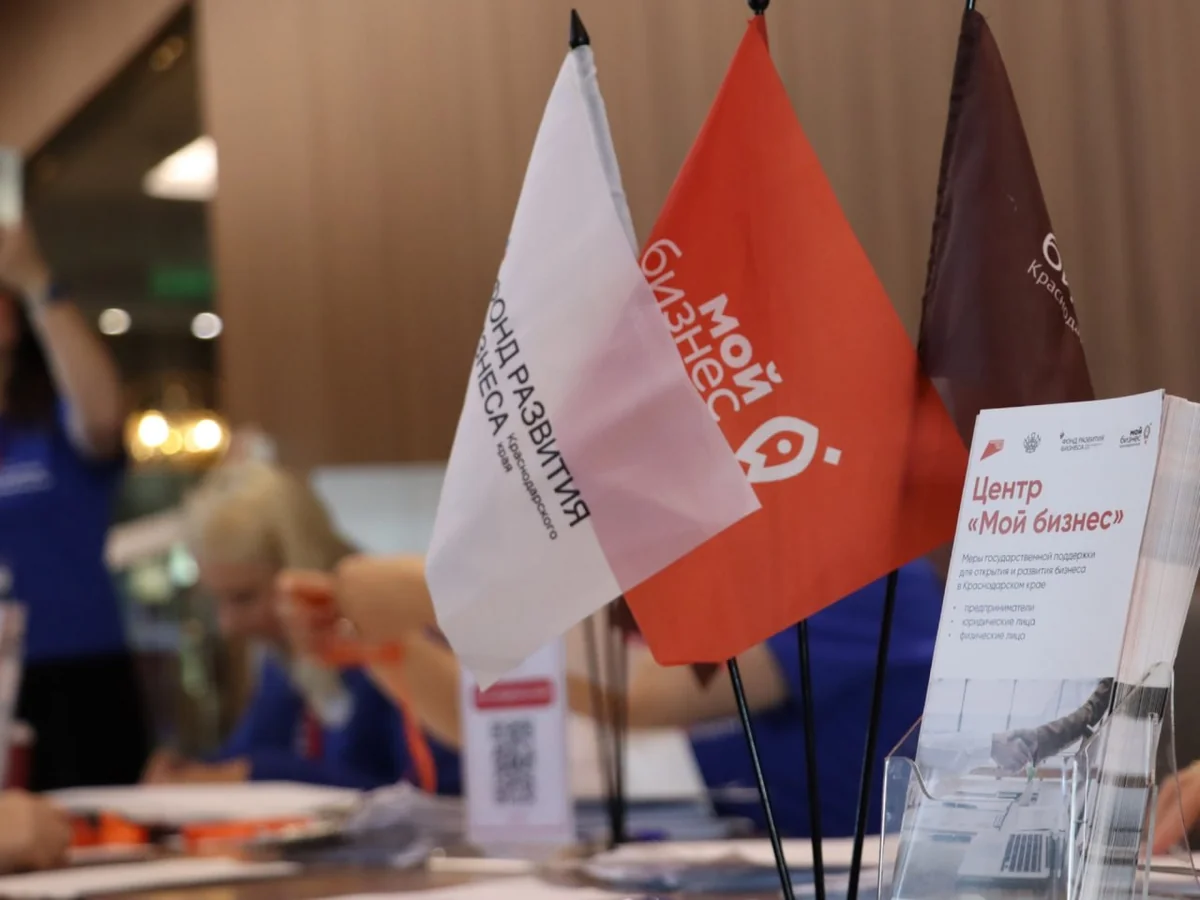 Кубань стала второй в стране по привлеченному финансированию на инвестпроекты