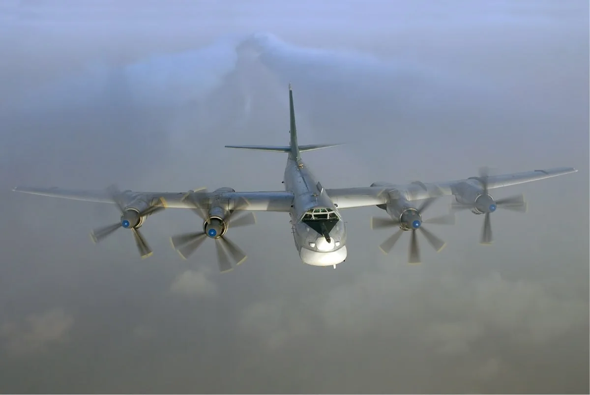 Экипаж разбившегося в Амурской области Ту-95 уводил самолет от жилых домов
