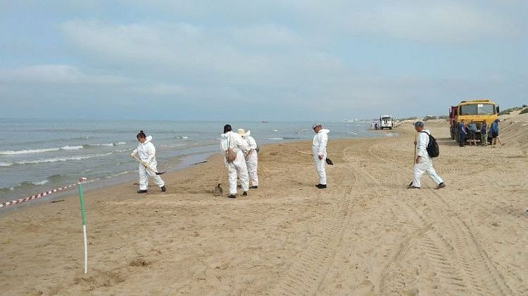 3 июня: выбросов мазута на пляжах Анапы нет