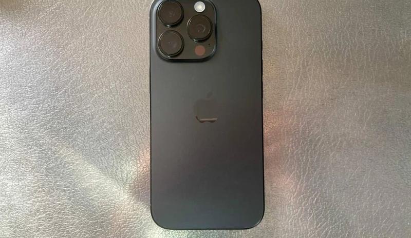 У россиянки конфисковали iPhone из-за фейкового фото медведя
