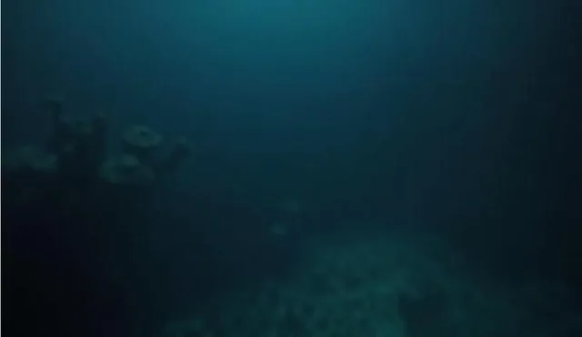 Ученые исследуют подводные соленые озера Красного моря для понимания зарождения жизни