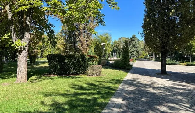 В Краснодаре и крае в середине недели погода порадует солнцем и теплом до +28°С без осадков