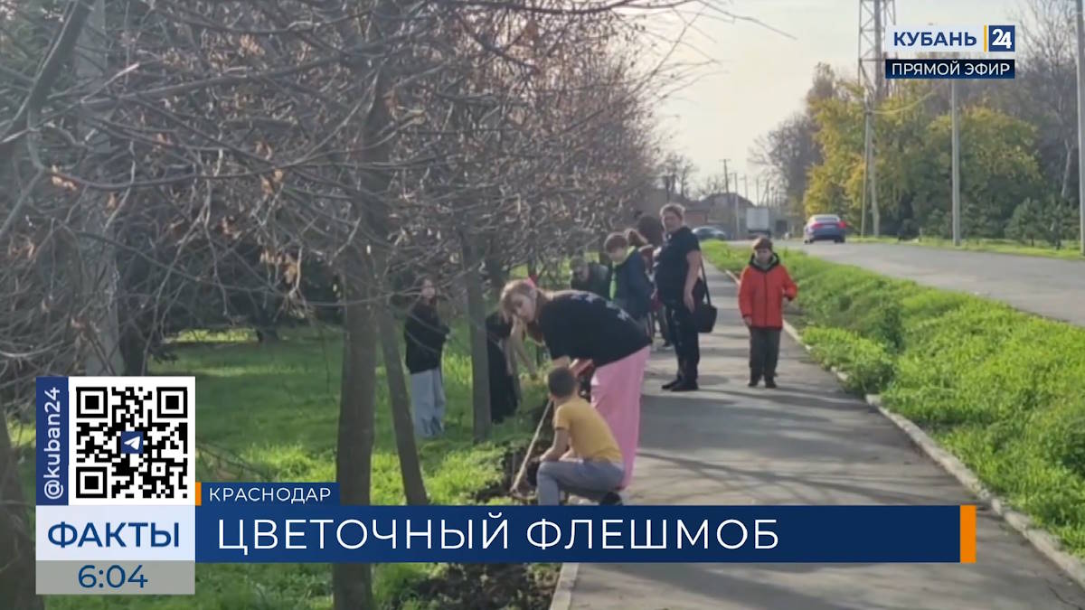 Аллею тюльпанов высадили жители поселка Лорис в Краснодаре перед Днем матери