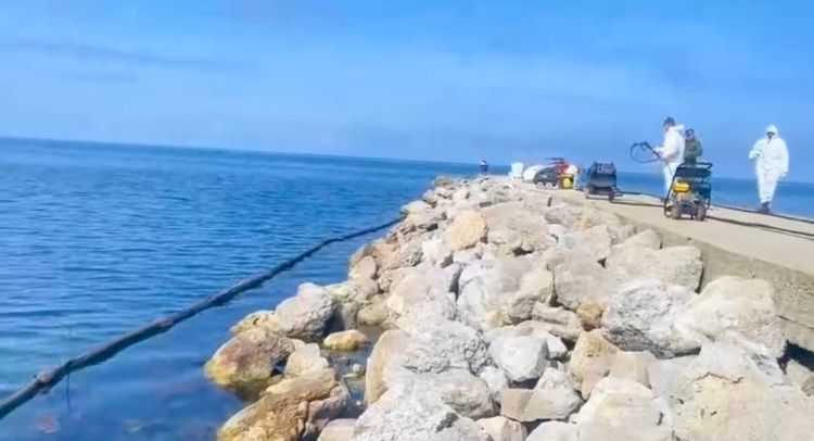 Анапа, Высокий берег уже без мазута: отмыт 5 мая