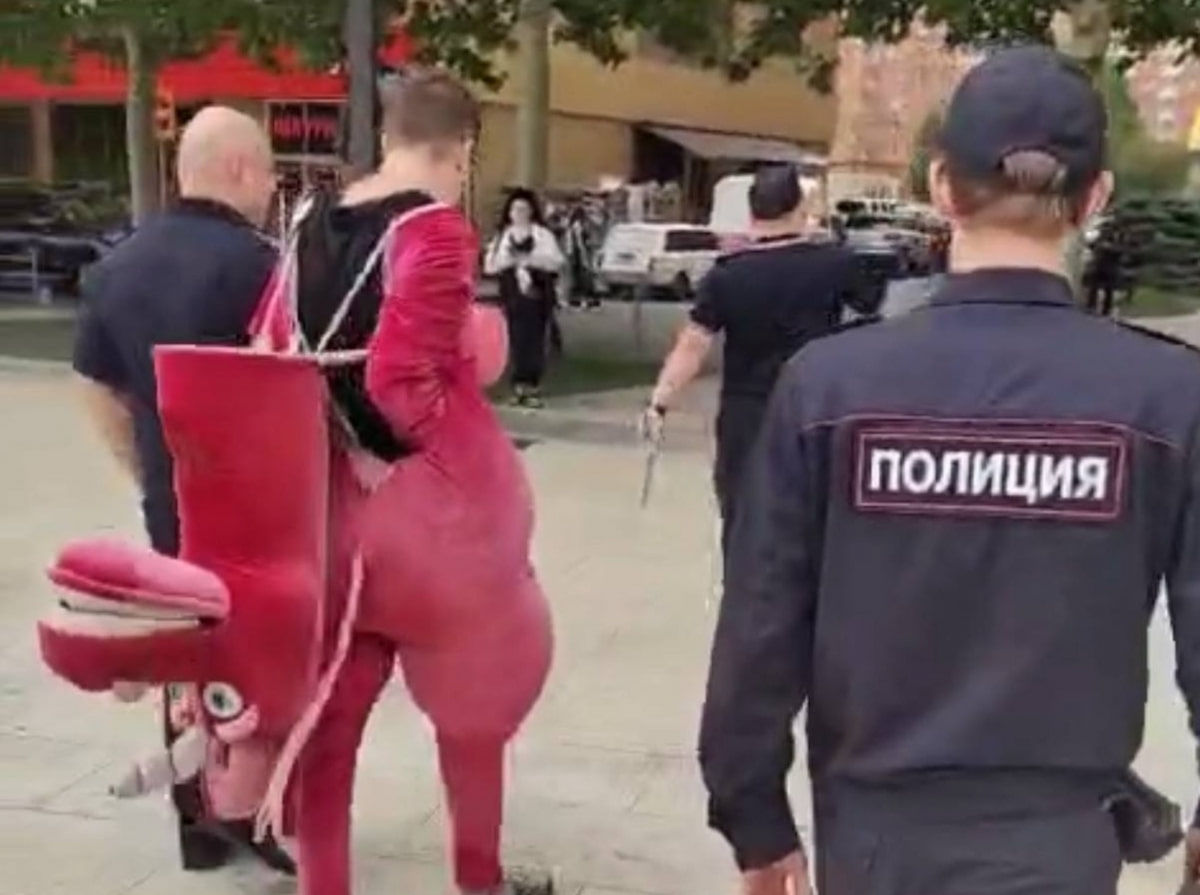 Аниматоров в костюмах единорогов задержали около парка «Краснодар»