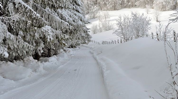 Белореченск на Кубани: множество жалоб – люди четвертый день без света, тепла и воды