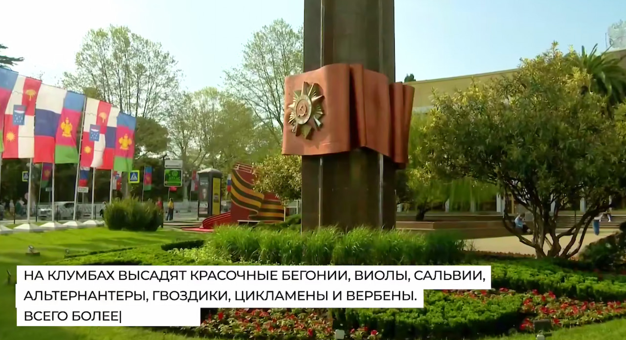 Более 330 тыс. цветов различных сортов высадят к лету в Сочи
