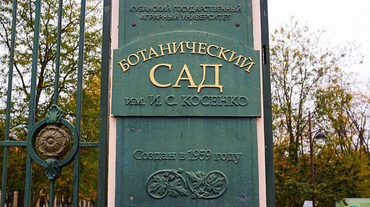 Ботанический сад в Краснодаре закроют: причина
