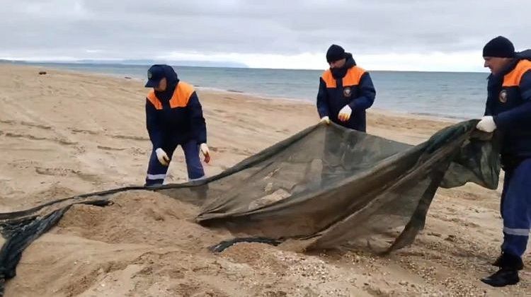 В Анапе подходит к концу демонтаж защитного вала: за сутки девять самосвалов сетей и грязного песка
