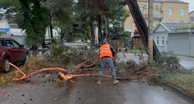 В Анапе убирают последствия ночной непогоды: рухнули деревья, размыт грунт