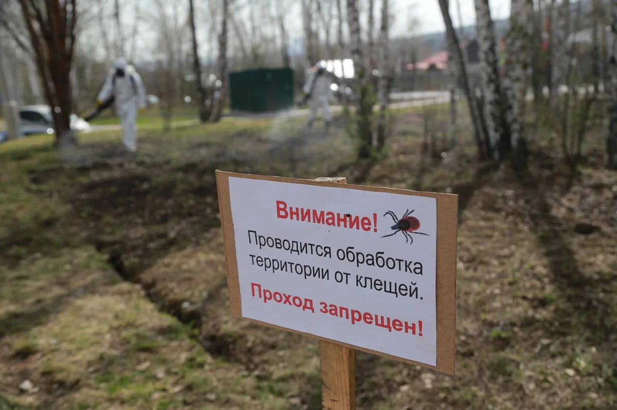 В Краснодаре от комаров и клещей обработали 30 гектаров зеленых территорий