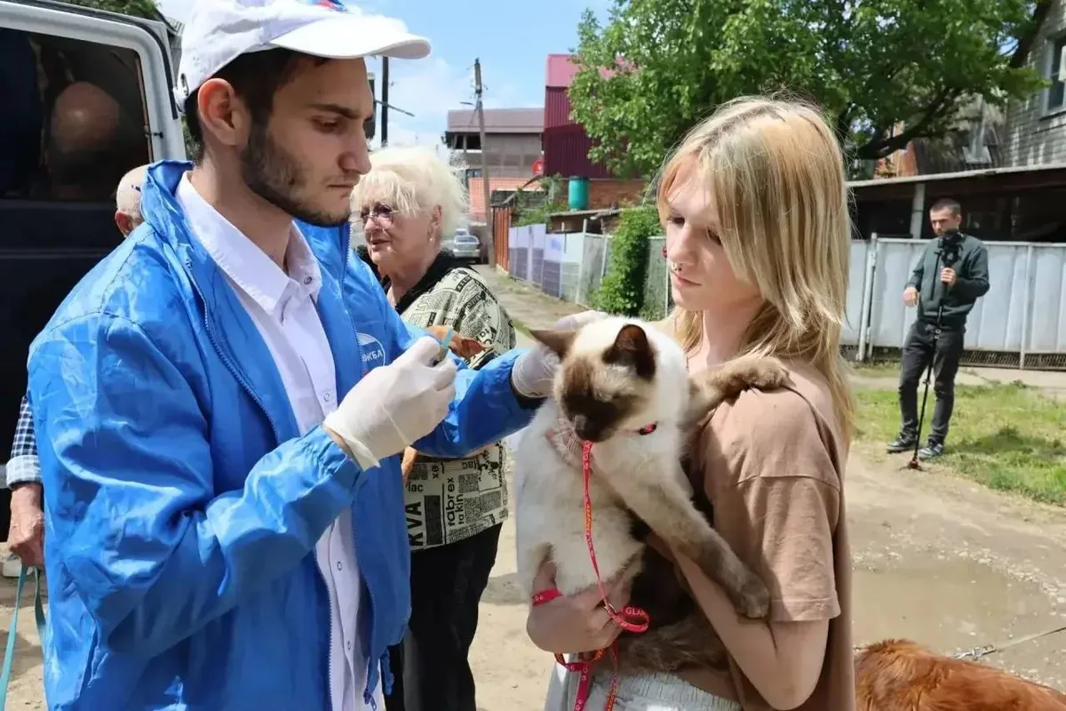 В Краснодаре проведут бесплатную вакцинацию домашних животных от бешенства