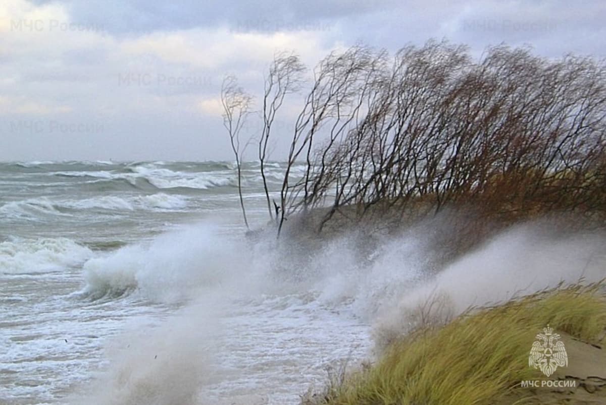 В Краснодарском крае 8 декабря прогнозируют сильный ветер и шторм в море