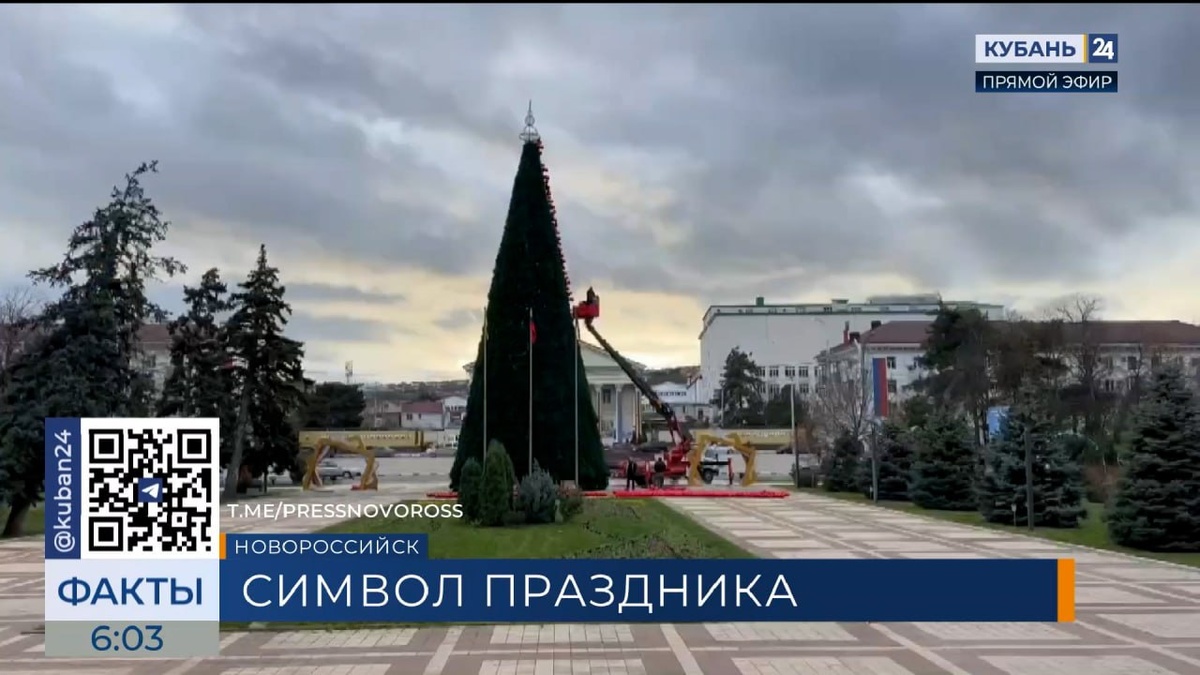 В Новороссийске начали украшать главную городскую елку