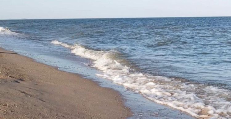 В России предложили присоединить Одессу мирным путем