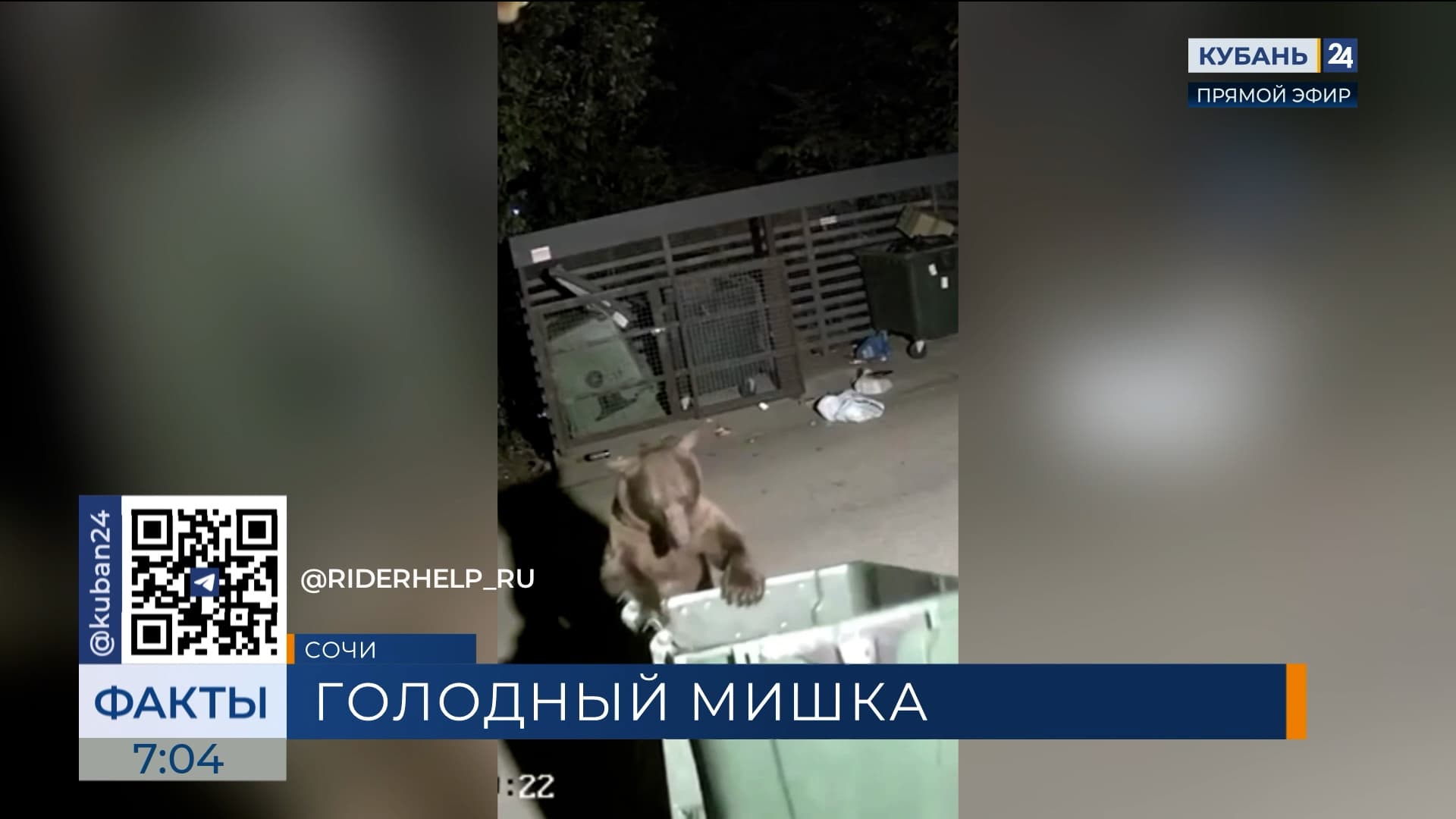 В Сочи аккуратный медведь перевернул мусорку, не обнаружив там еды