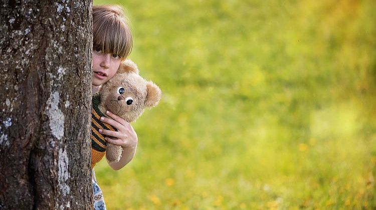 В Сочи готовят укрытия для детей во всех школах и садиках