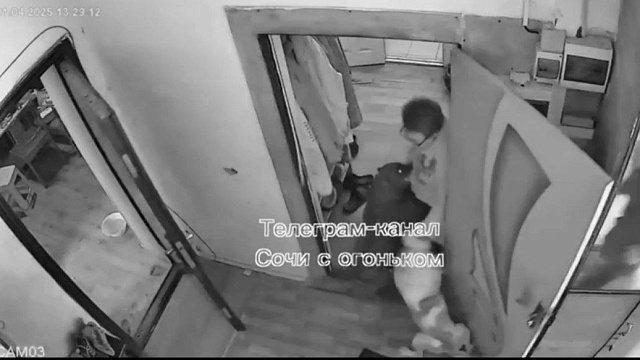 В Сочи два стаффордширских терьера набросились на пенсионерку и покусали ее