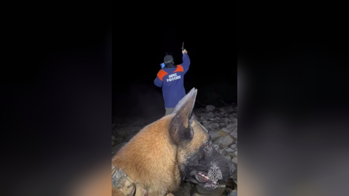 В Сочи пенсионерка заблудилась во время сбора грибов и провела всю ночь в лесу
