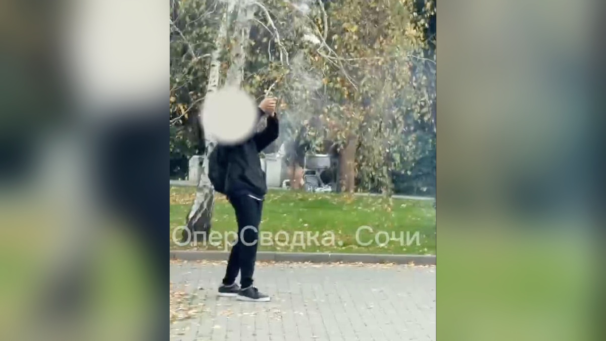 В Сочи полиция ищет подростка, запустившего фейерверк в военный мемориал