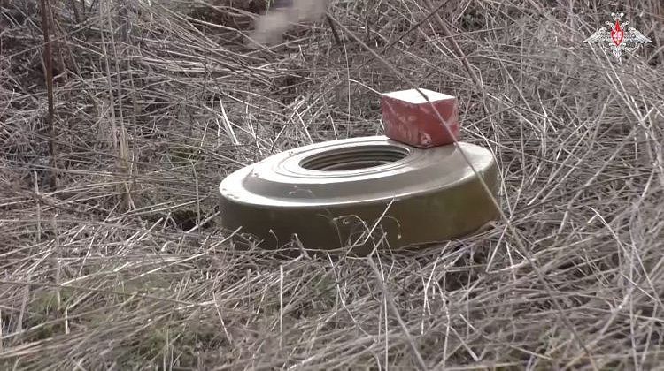 Важно! MI-6 вместо СБУ: Британия внедрила своих агентов в ближний круг Зеленского