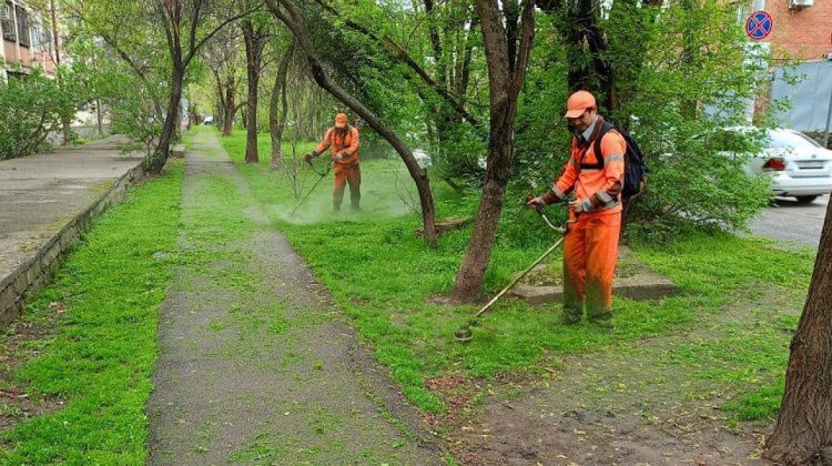 Весна! В Краснодаре уже начали косить траву: как подать заявку