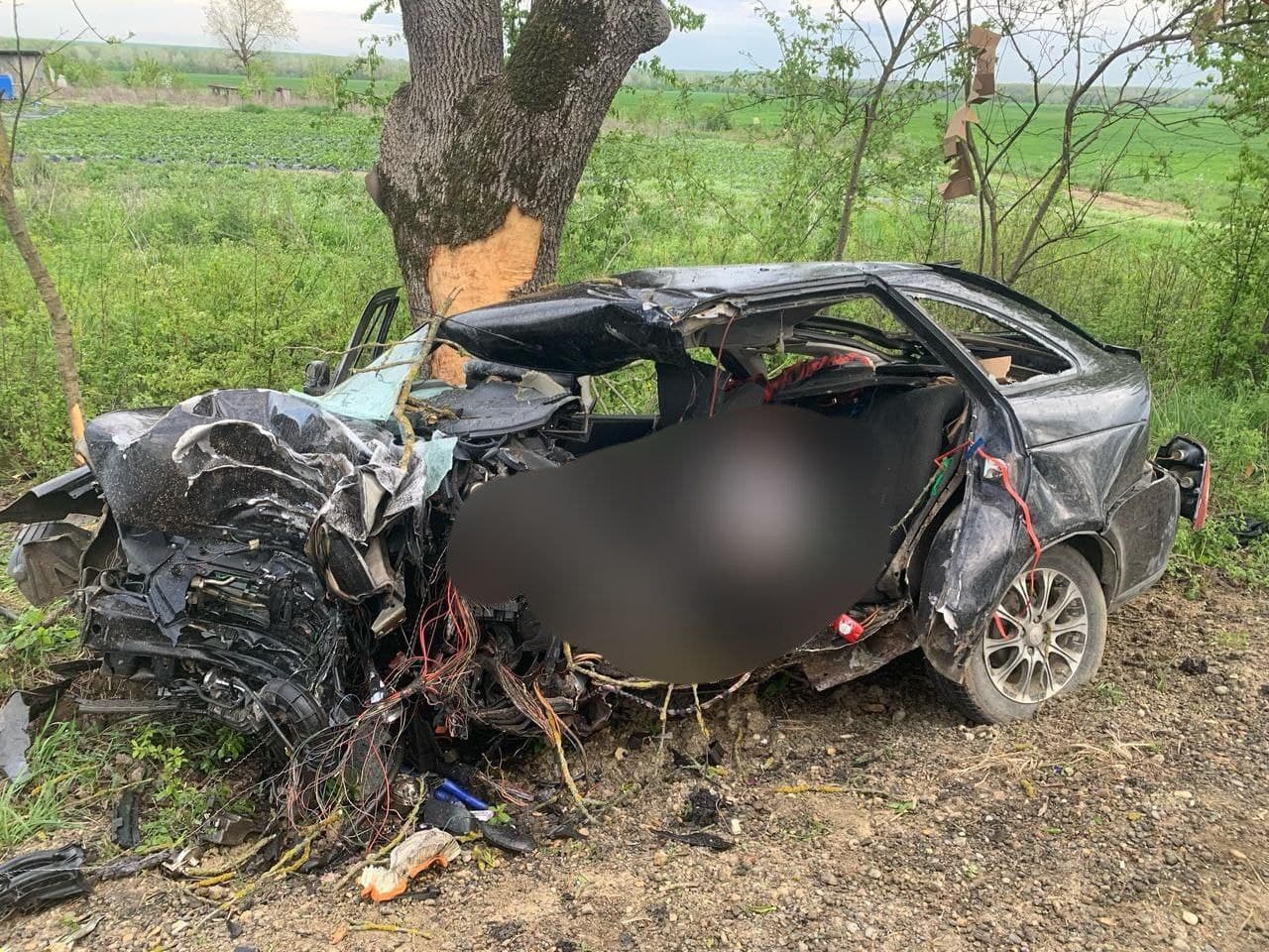 Водитель «Лады» врезался в дерево в Горячем Ключе, погибли три человека