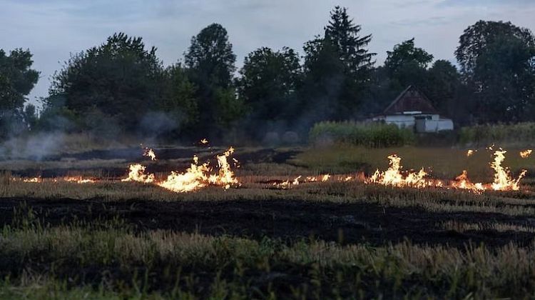 Воронежская область! Из-за обломков дронов загорелся лес, поврежден газопровод