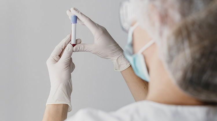 Грозная Денге больше не страшна? Россия запускает испытания собственной вакцины