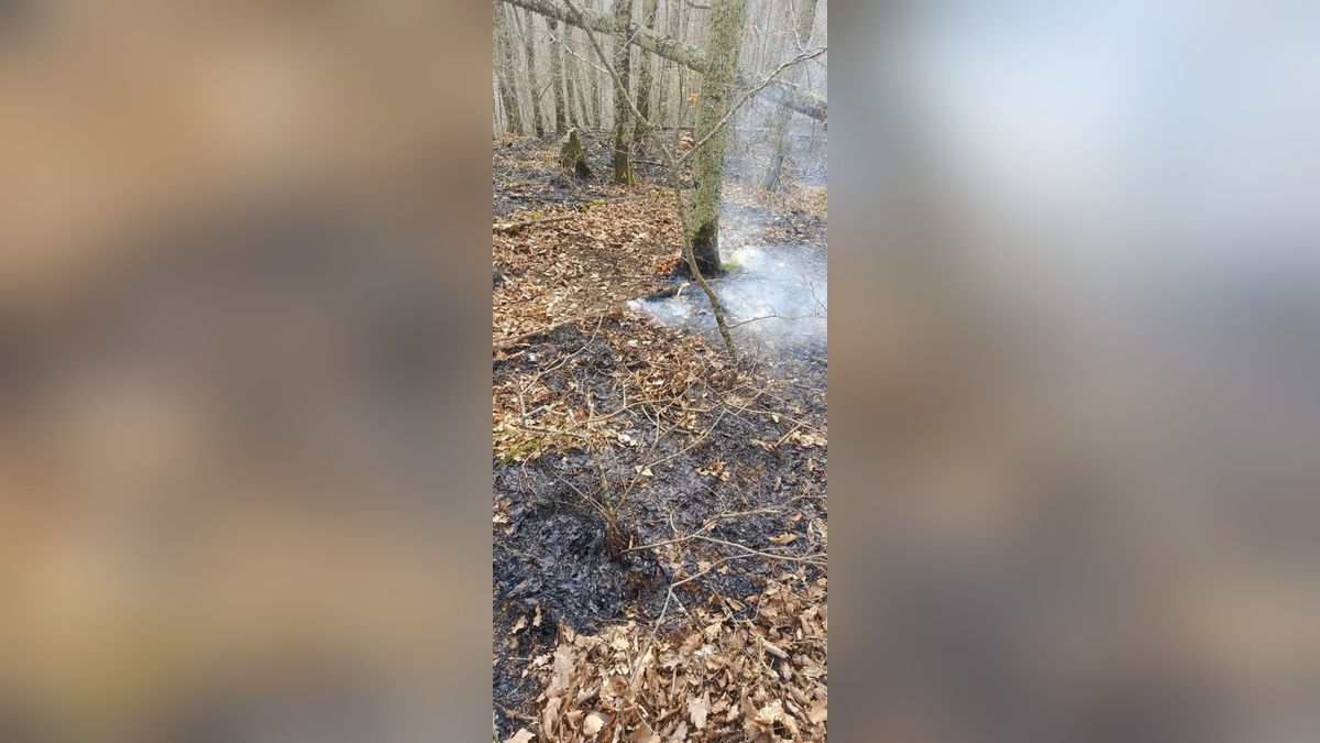 Два лесных пожара разгорелись под Геленджиком и Туапсе