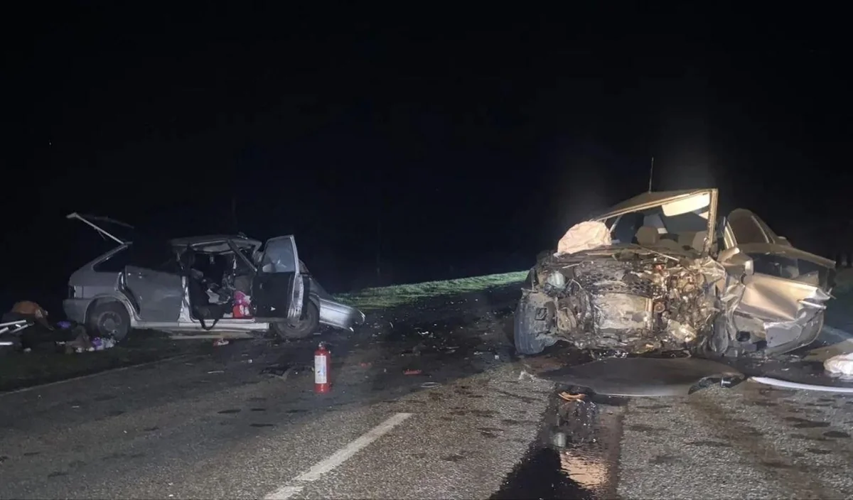 Двое взрослых и два ребенка погибли в ДТП в Ставропольском крае