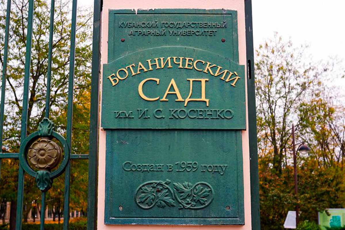 Дендрарий в Краснодаре закроют на весь день 3 октября для санитарных работ