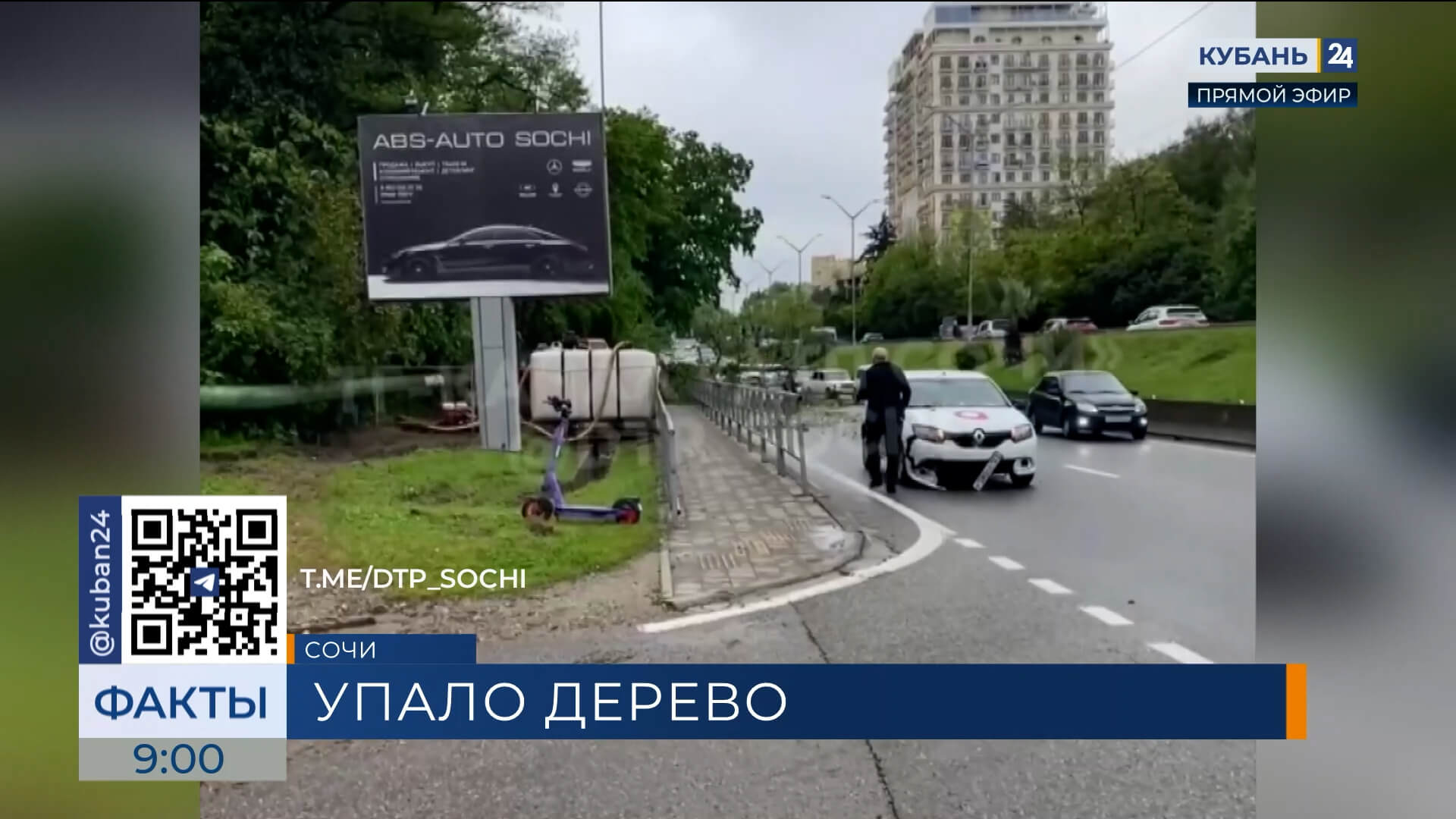 Дерево упало на машину и парализовало движение авто в Адлерском районе Сочи