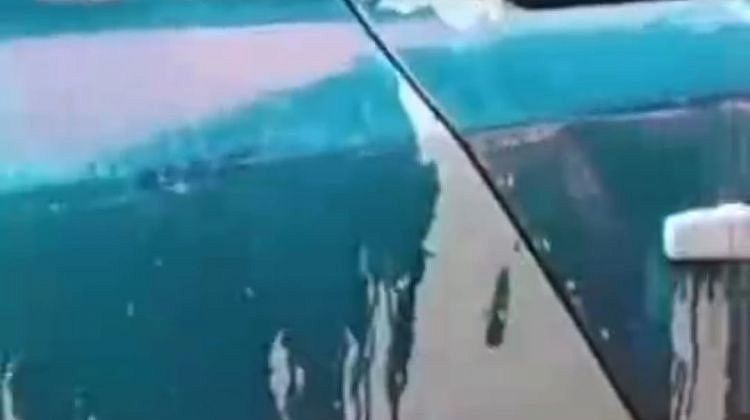 За что? Автомобиль залили зеленкой в Краснодаре: подтеки даже на асфальте