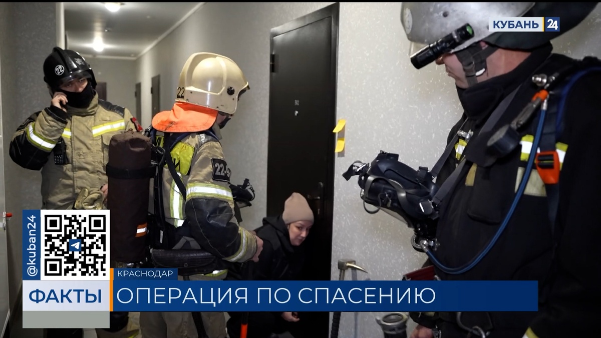 Запертых в квартире животных пытаются жильцы многоэтажки в Краснодаре