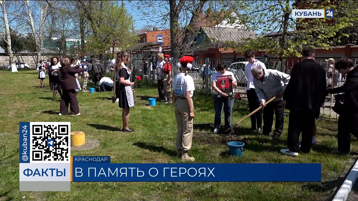 «Зеленую аллею памяти» в честь героев СВО высадили в Краснодаре