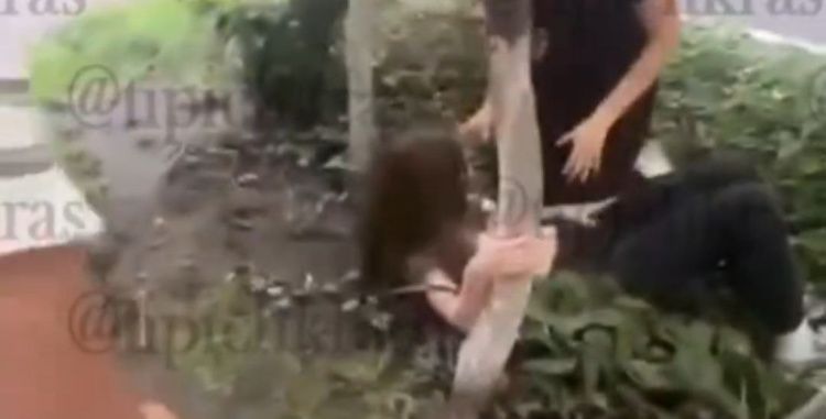 Избиение школьницы в Краснодаре толпой «подружек»: полиция начала проверку