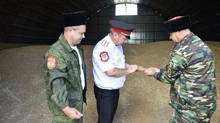 Казачья экономика: развитие и тормозящие проблемы