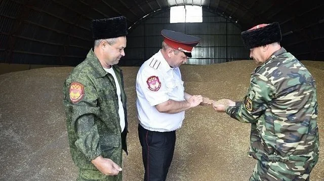Казачья экономика: развитие и тормозящие проблемы