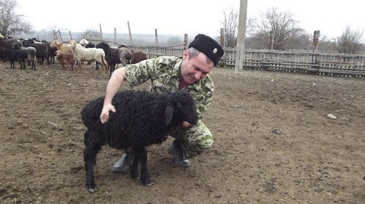 Казачья экономика выходит из налоговых запретов