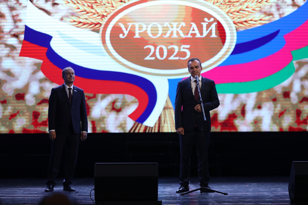 Кондратьев: в Краснодарском крае в 2025 году собрали 11,3 млн тонн зерна