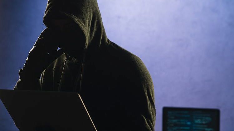 Краснодарская статистика: стало известно сколько жителей пострадали от SMS-мошенников за 2025 год