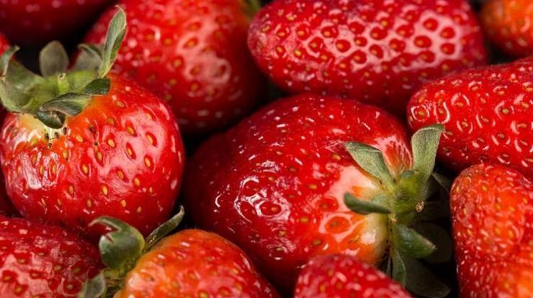 Красный не всегда опасный: какую пользу клубника несет для организма